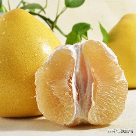 客家文化之都，中国柚子之乡-南国嘉应，岭南梅州