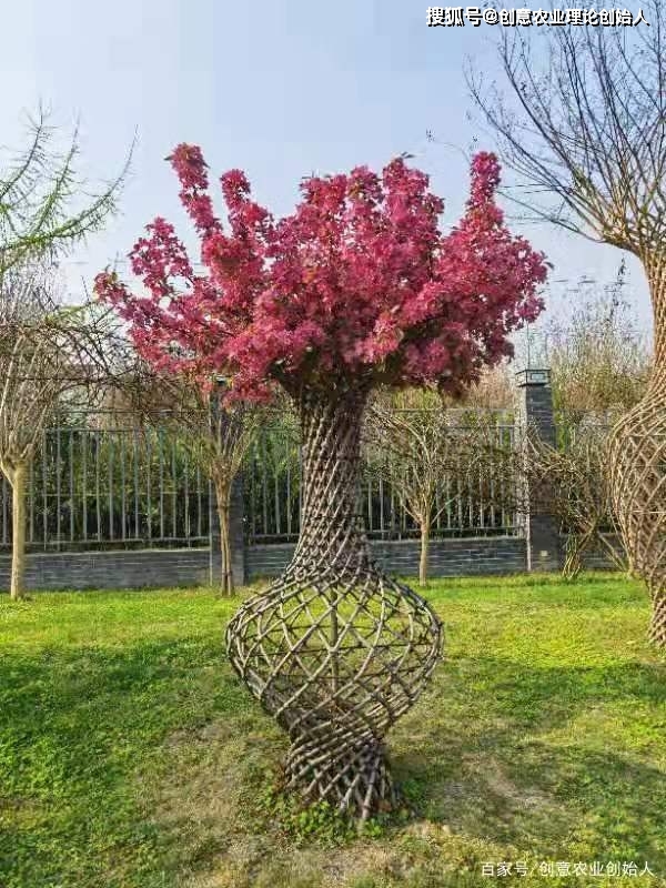 成都创意农业新场景教程（章继刚著）用花园理念重塑田园生活方式