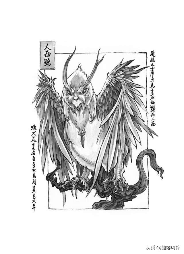 山海经神兽(山海经神兽大全排名)