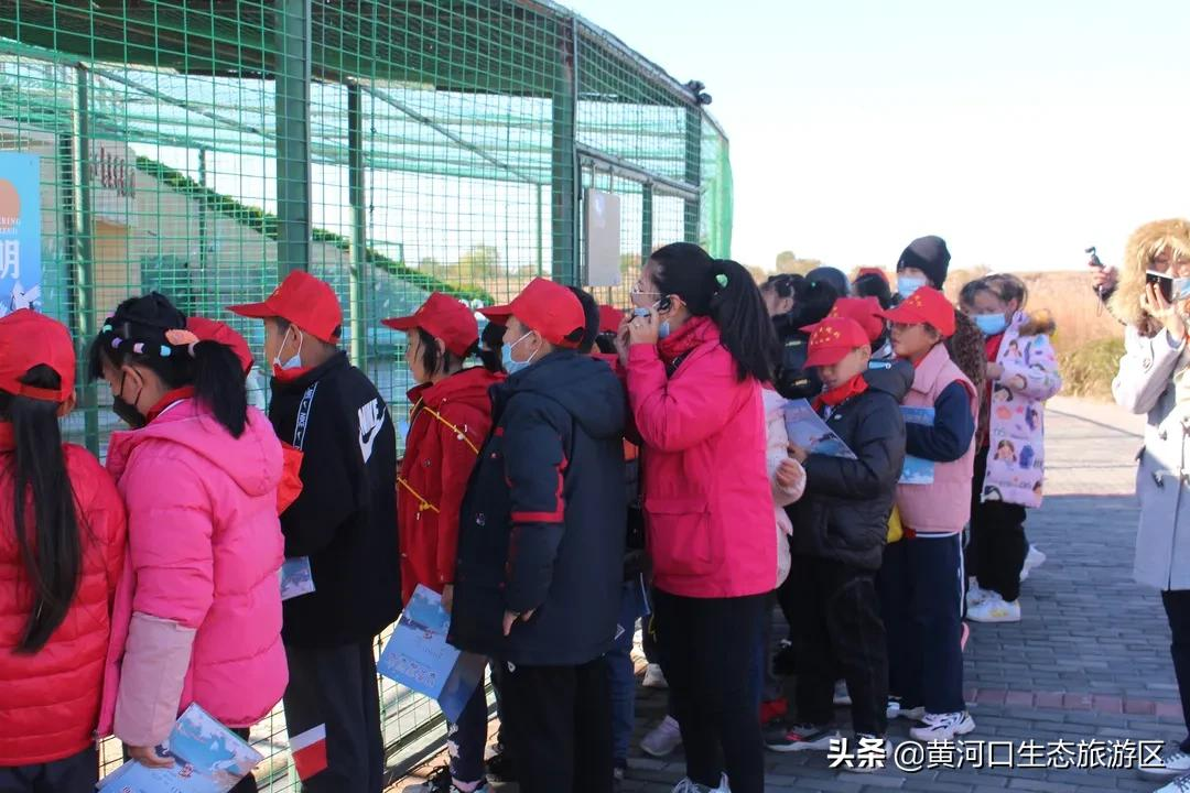 【黄河口生态旅游区】“行走黄河口 亲近母亲河”