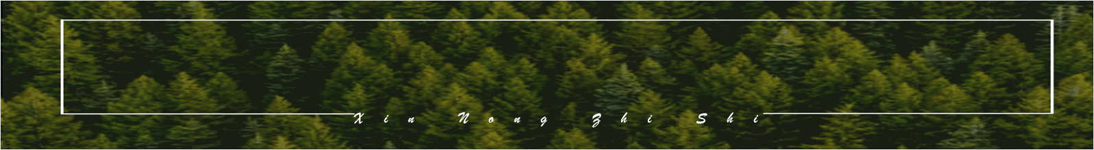 山药怎么种植方法（山药怎么种植方法图片）-第11张图片-大连信息网