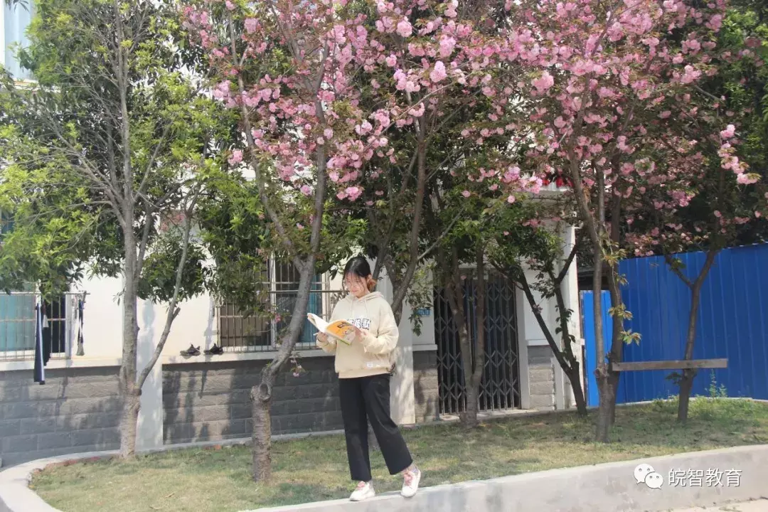 合肥皖智高复学校- 坚持——百尺寒冰，亦能怒放万朵蔷薇