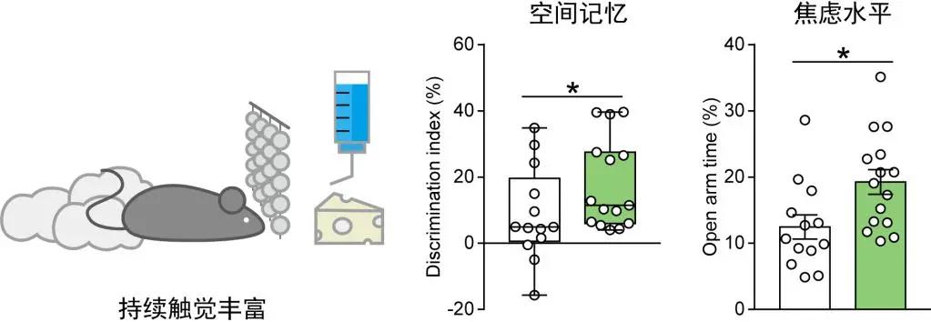 浙江大学脑科学与脑医学学院成立一周年！科研成果汇编