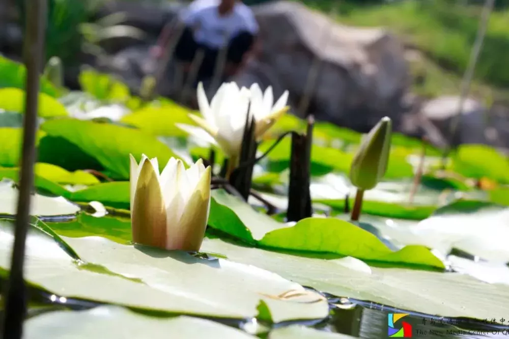 街访 | 别人眼中的青岛港湾职院和你眼中的有哪些不一样呢？