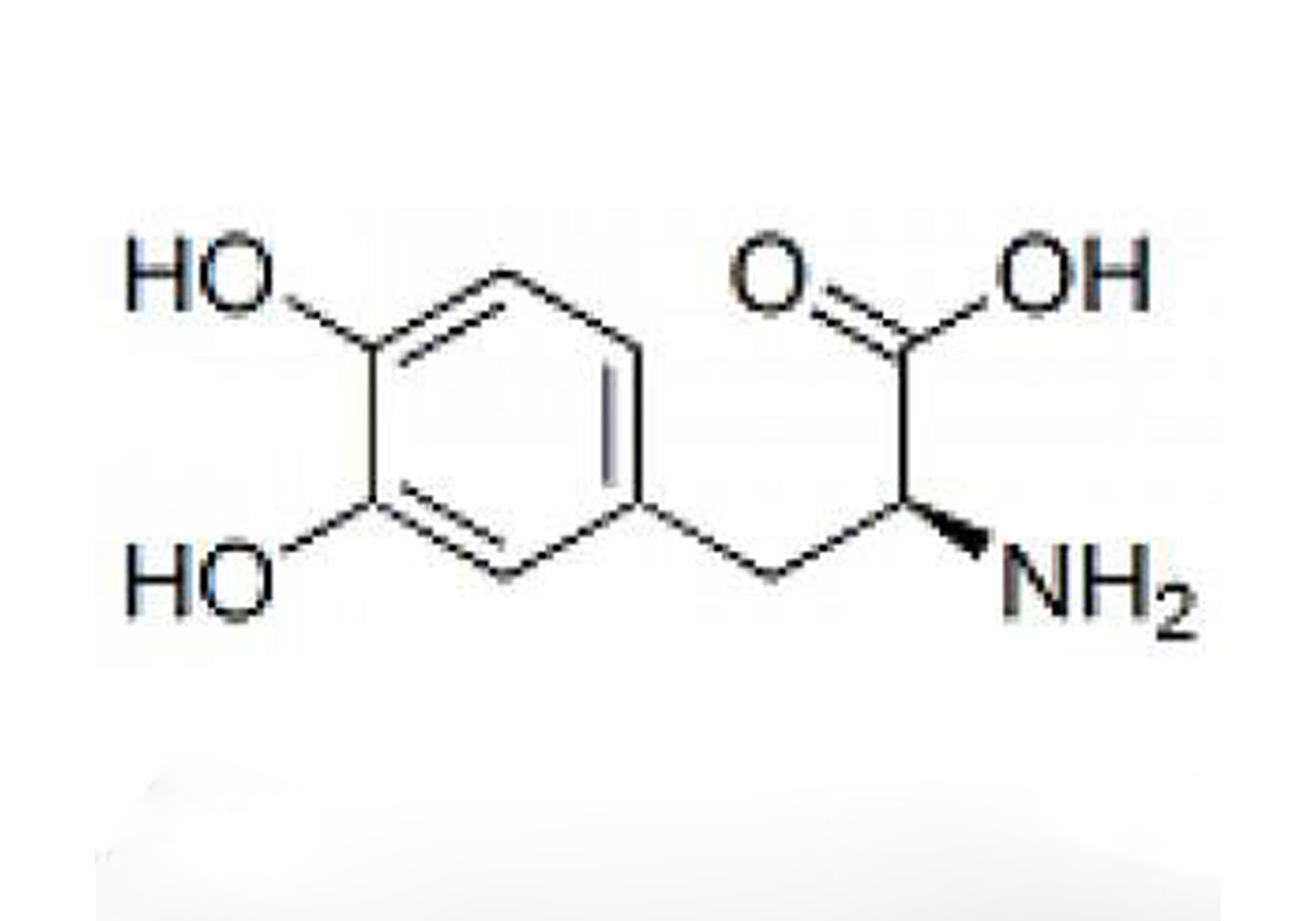 脆肉鲩是如何脆化的？学老广简单烹饪好吃鲜嫩爽口