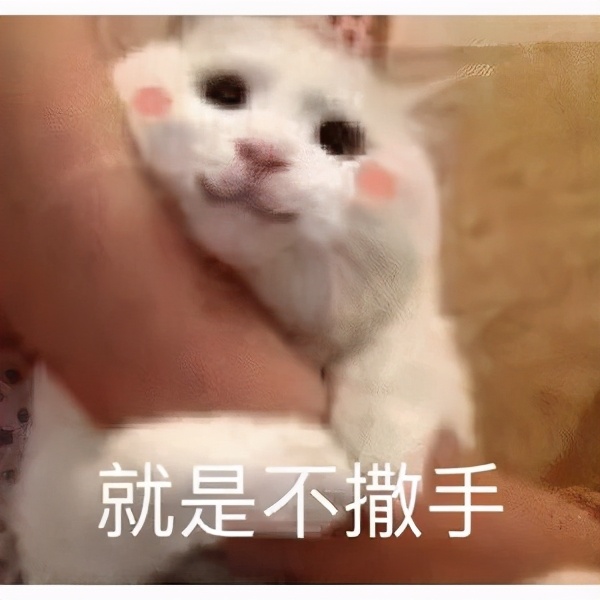 最基础：Excel行列操作指南