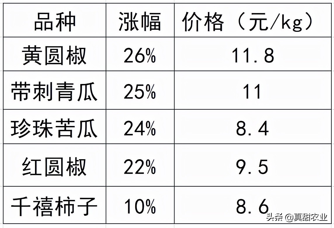 广州江南市场今日香芋价（广州江南市场今日菜价查询）