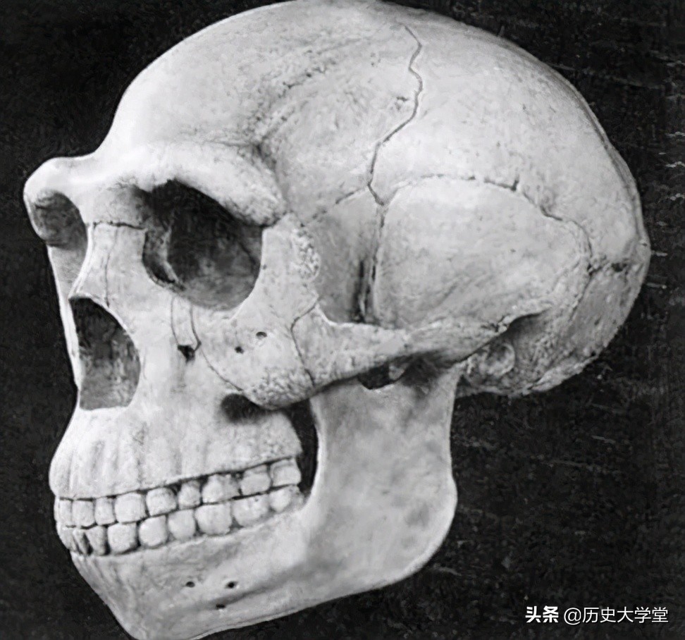 中国三大未解之谜北京人头骨_世界之最_奇闻铁事