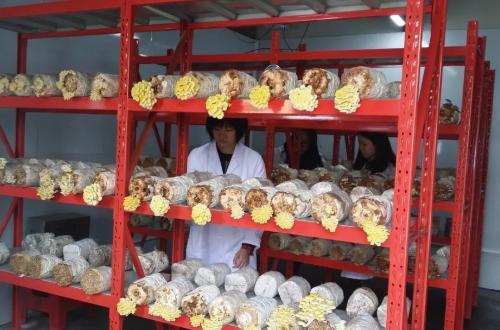 广东科贸职业学院招生计划专业介绍