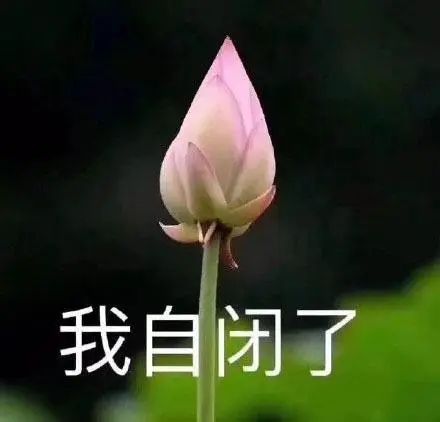 面包足球场(许家印花120亿，亲自设计恒大足球场被吐槽丑？你是没见过更丑的)