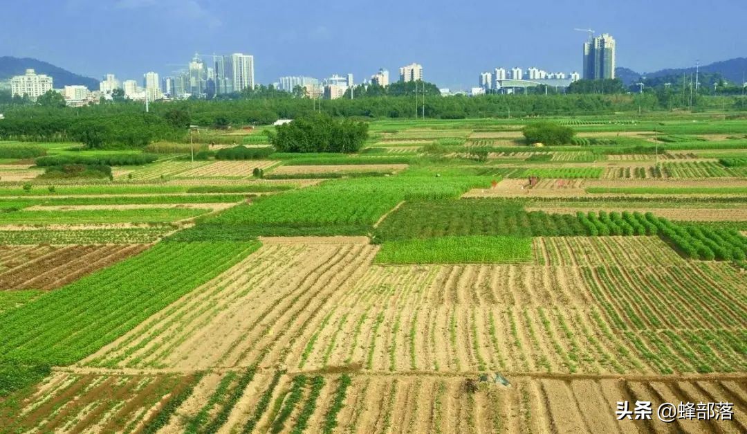 土地确权,土地确权意味着什么