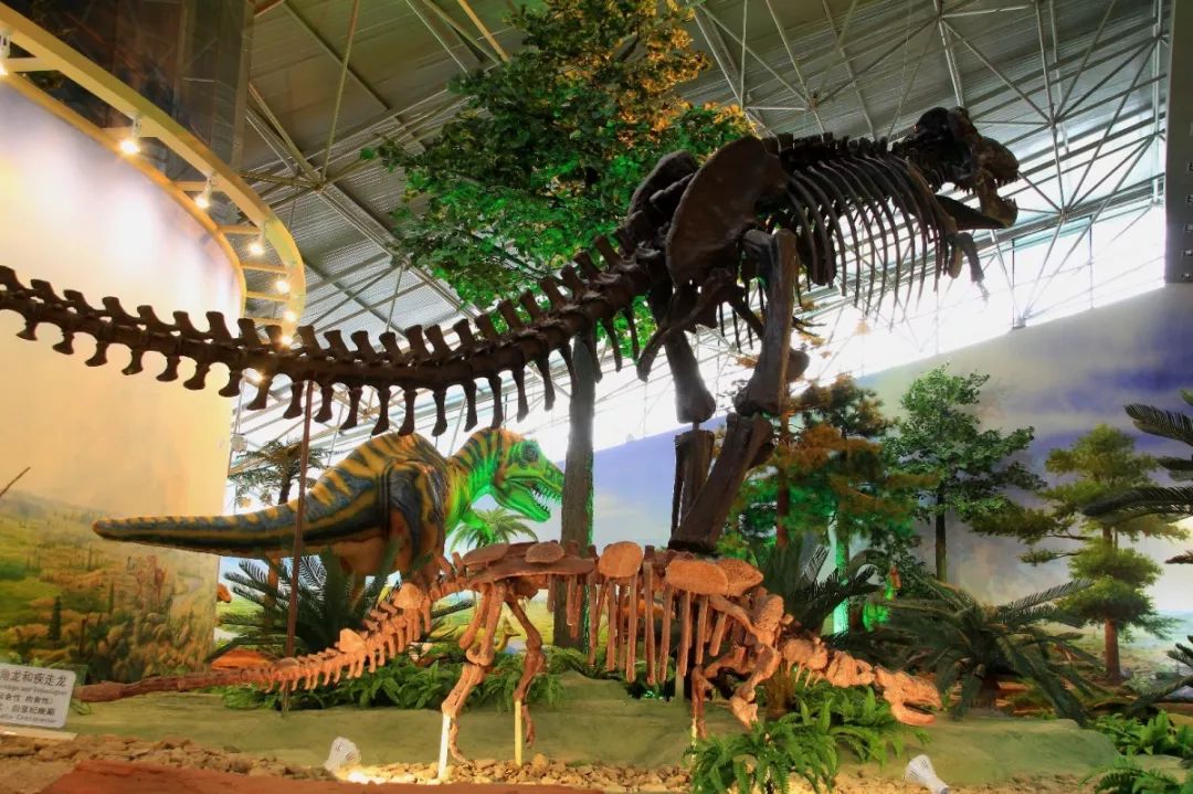 东北旅游景点 东北最好的十大景点-千百号