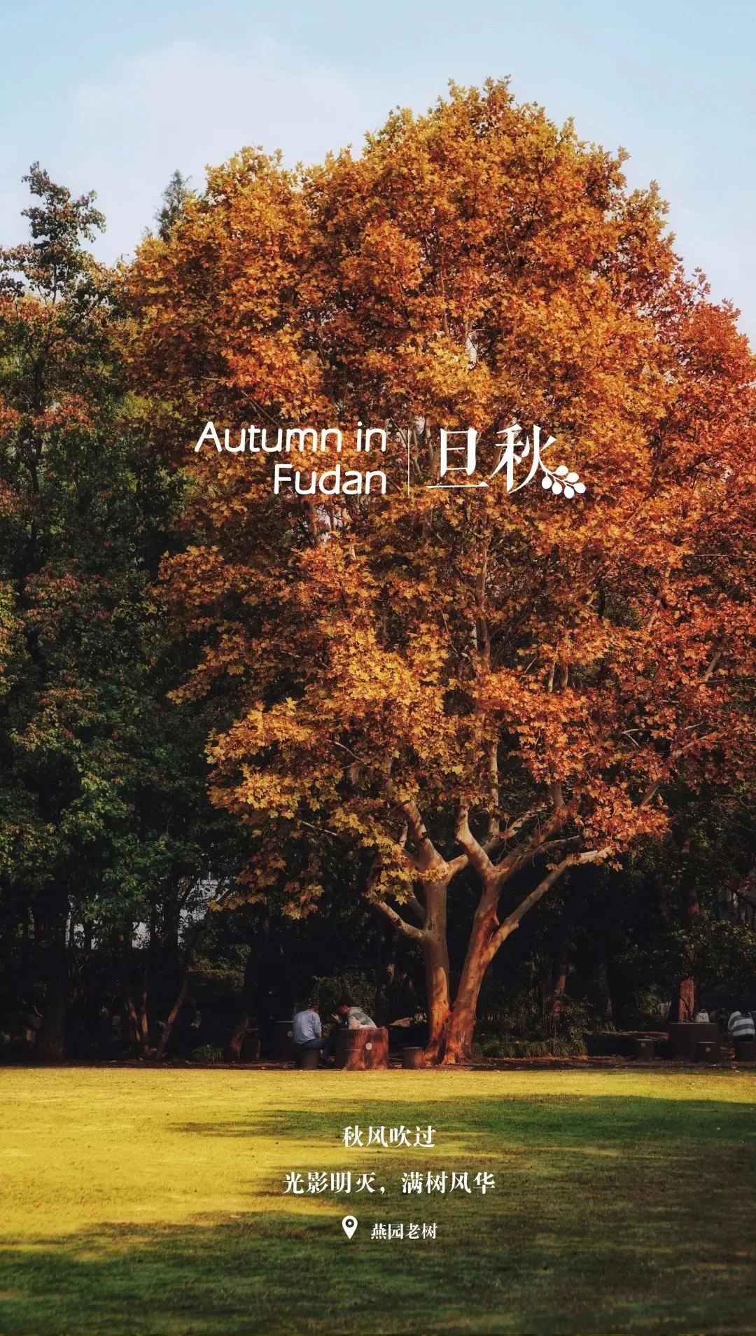 你的理想大学，终于被做成了手机壁纸