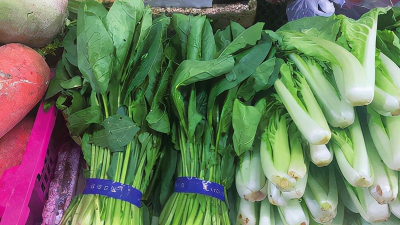 今日南阳菠菜批发价格「今日菠菜批发多少钱一斤」