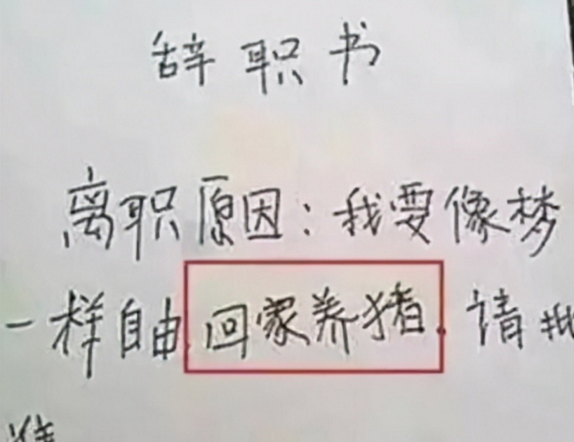 00后毕业生“霸气”辞职信，理由任性且嚣张，老板看后无话可说