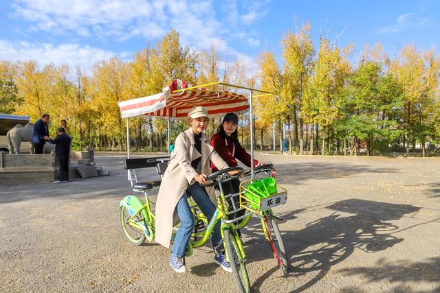 甘肃旅游，这地方藏了最美的秋天，像进入了金黄色的童话世界