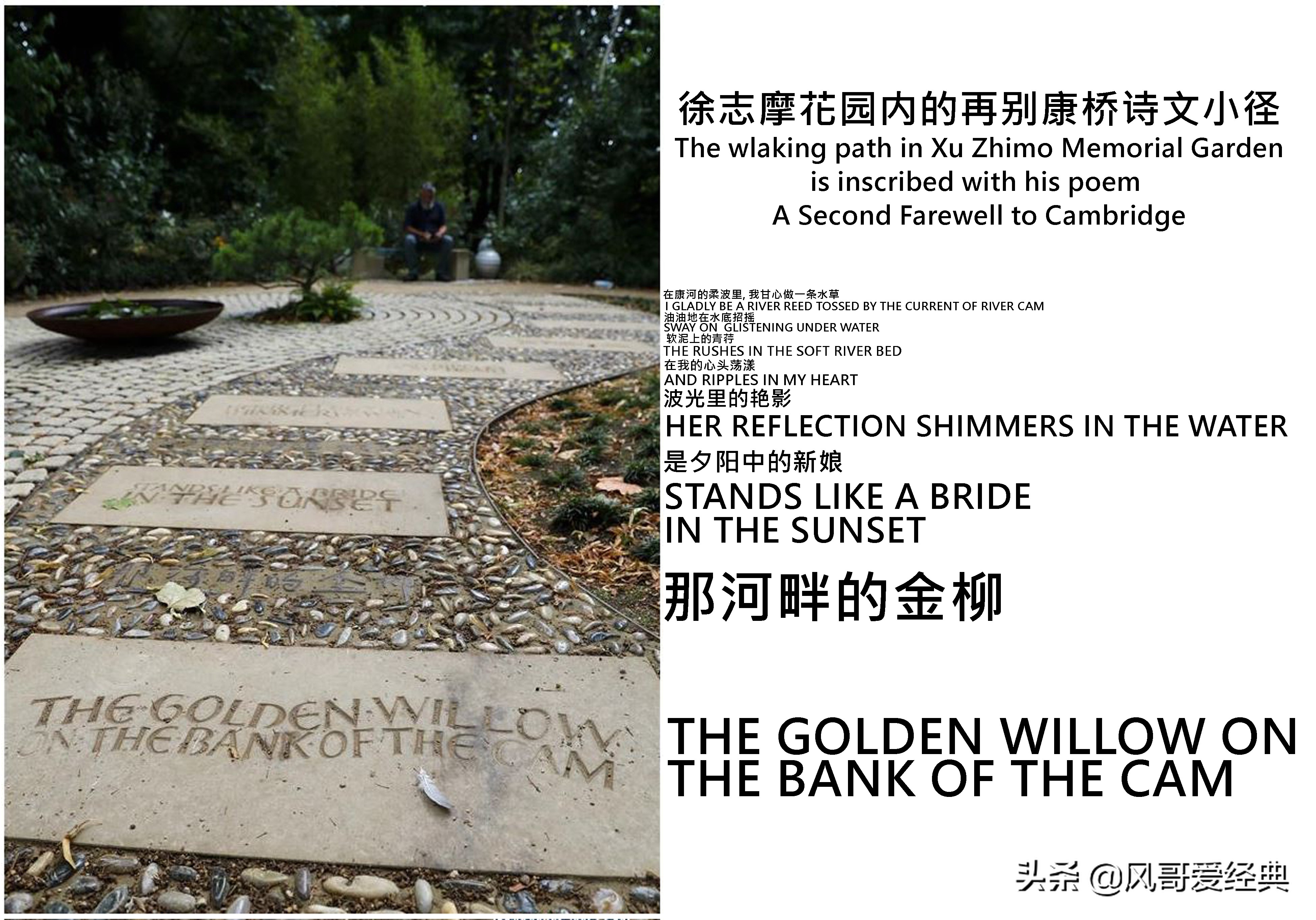 剑桥大学修建徐志摩诗碑和花园，英国“志摩文化”实现中西方交融