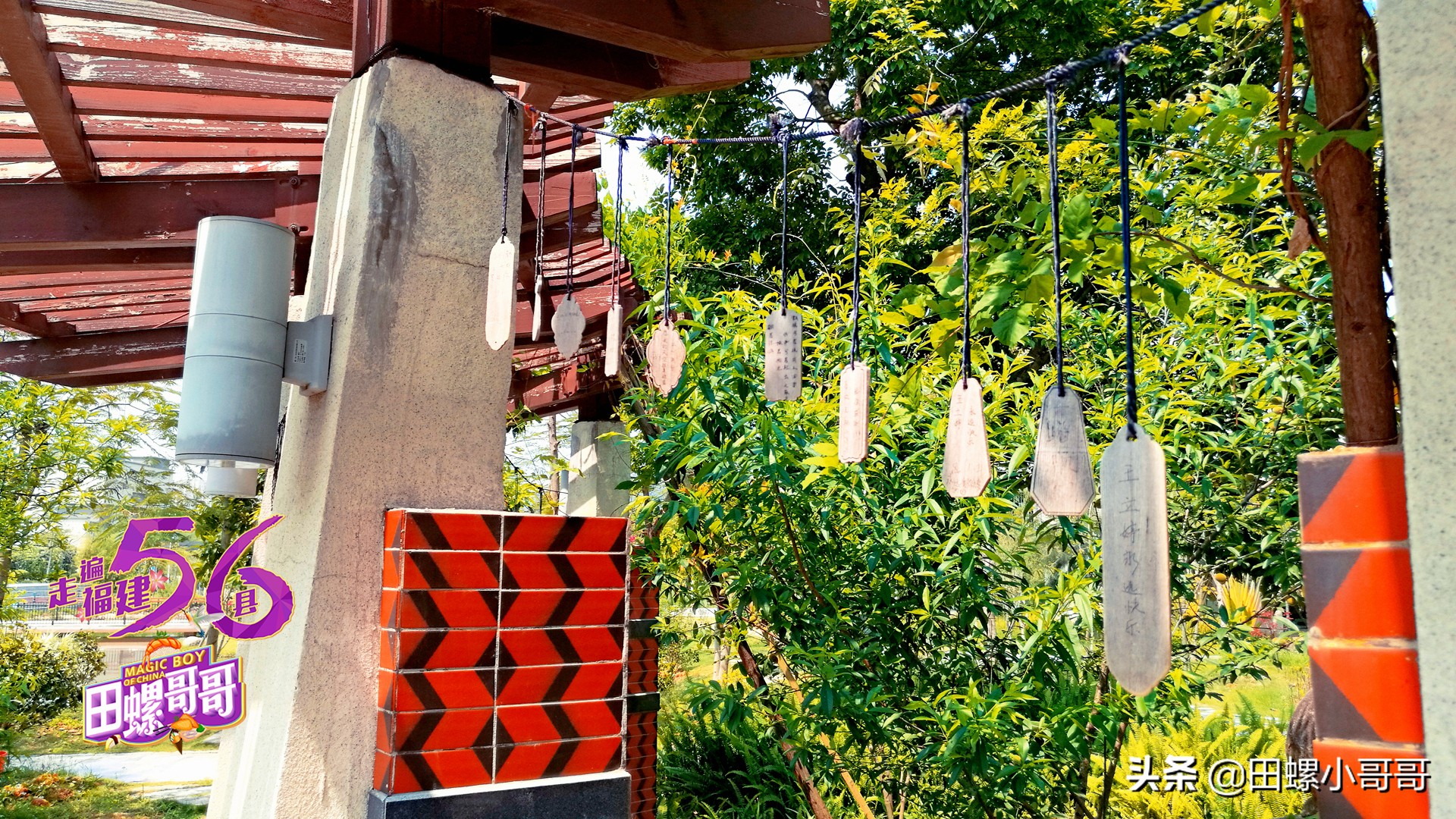 中国第一所，也是唯一一所本科茶学院，深藏于大山里，清新似茶！