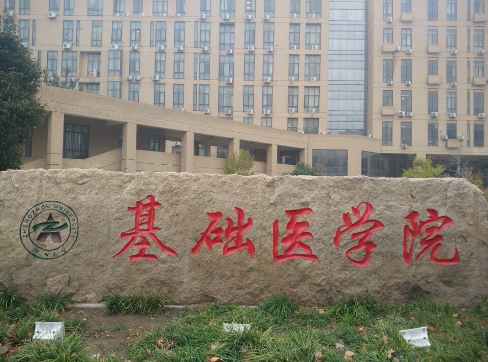 2021年高考学生查分为603分，选择郑州大学，还是武汉理工大学？