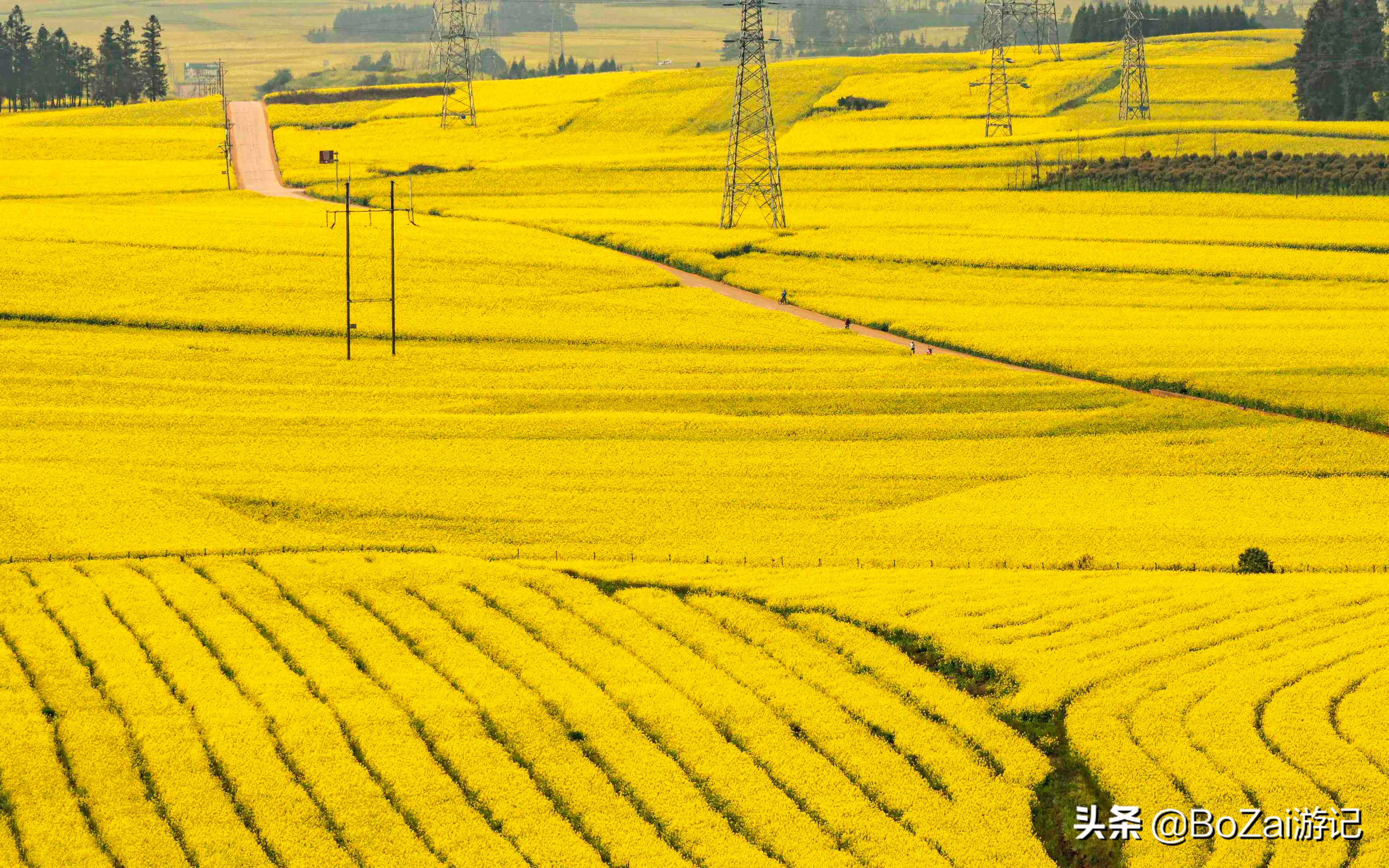 适合云南旅游的地方（到云南旅游不能错过的10大景点）