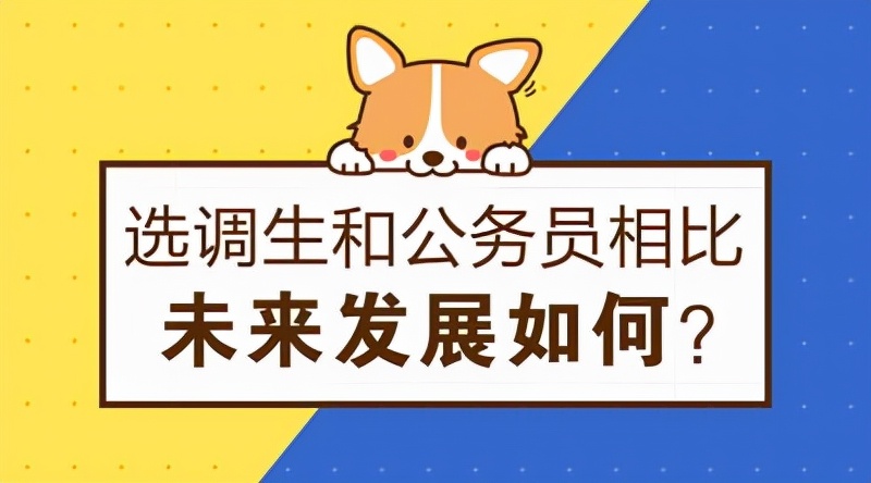 選調生的實際待遇如何？