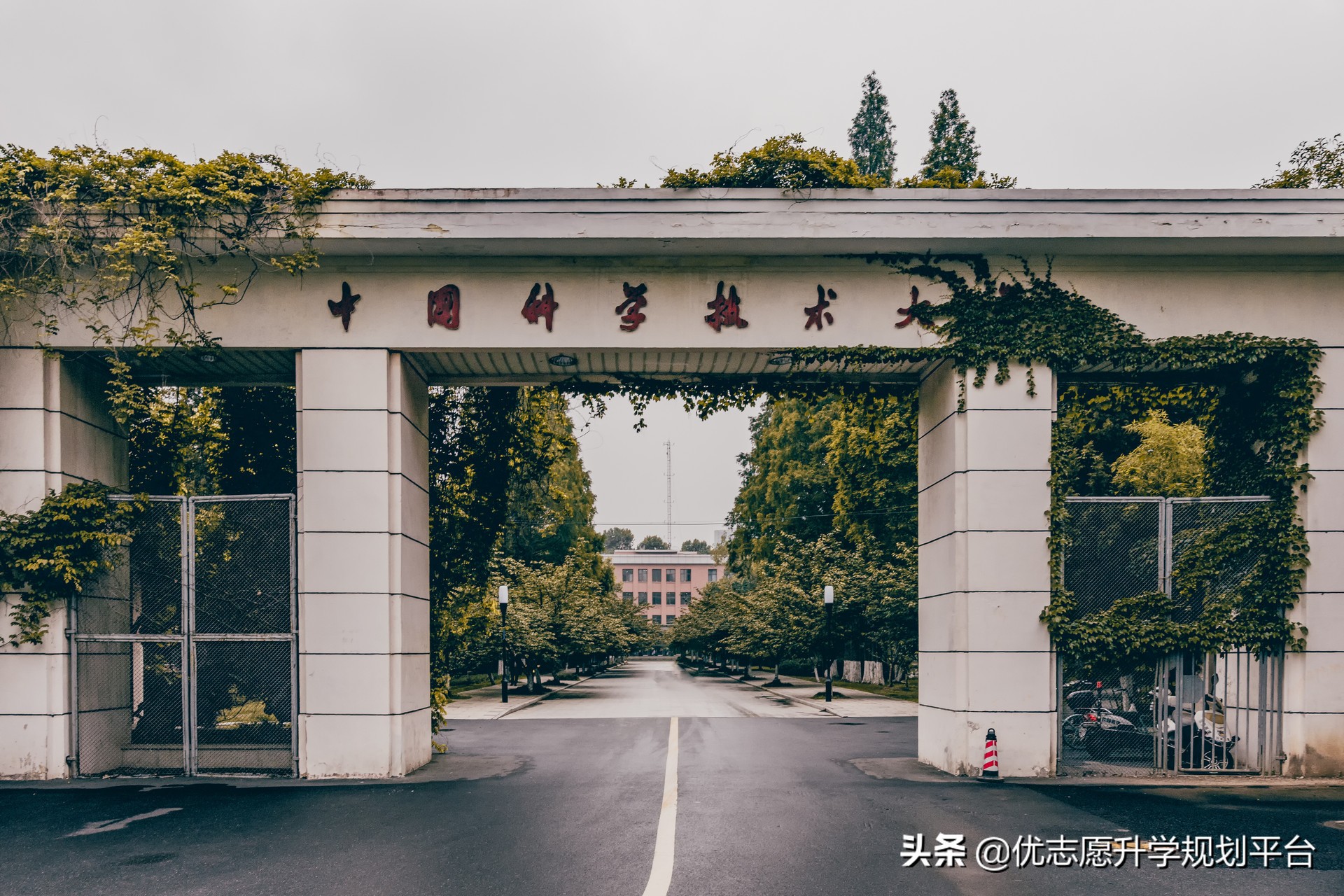 中国科学科技大学,中国科学科技大学全国排名