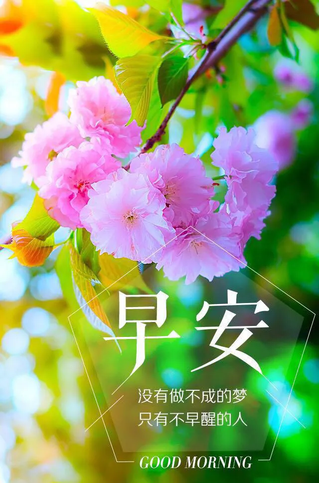周三早安心语正能量图片日签加字：没有做不成的梦，只有不早醒的人！