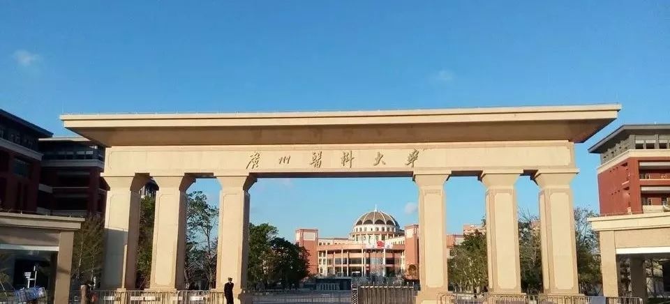 佛大医学院图片