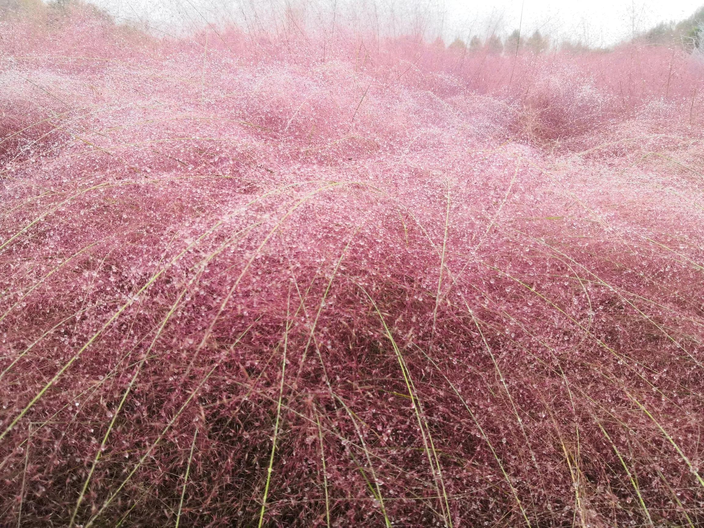 姥姥陪读（14）｜国庆七天，陪孩子乐起来