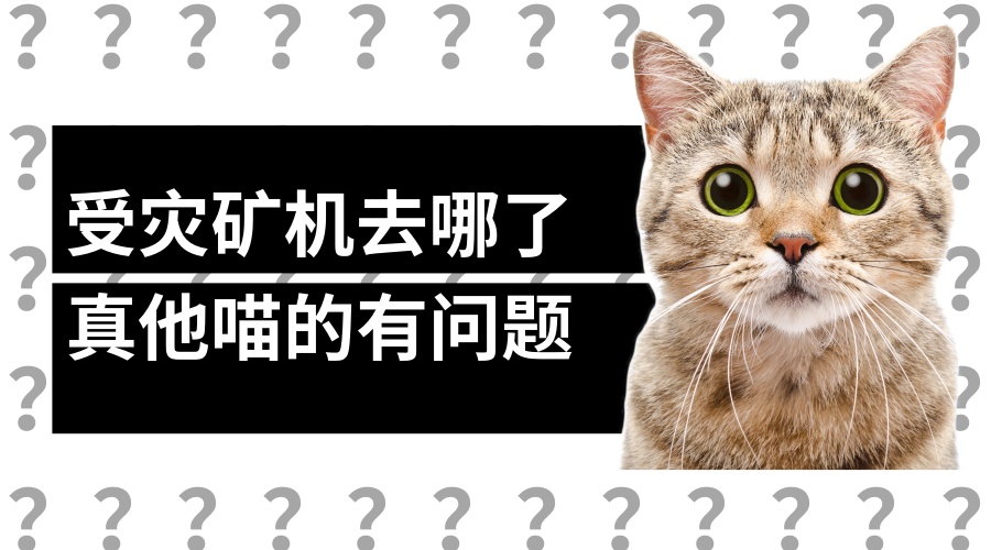 四川比特币矿场被淹受灾严重？一线矿工：小事，不用慌