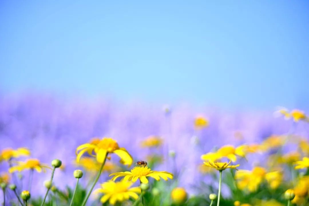 一位从教30年的老师在家长会上的发言：家长有五层，你在哪一层？