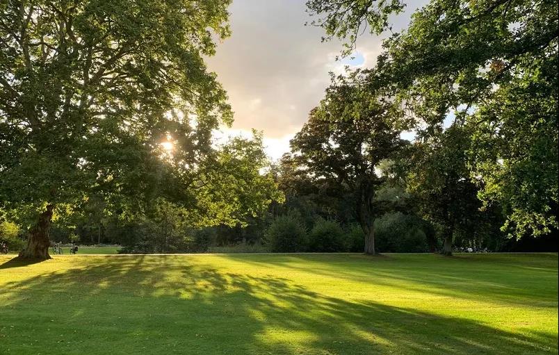 超超超值的艺术留学交换&双学位项目推荐