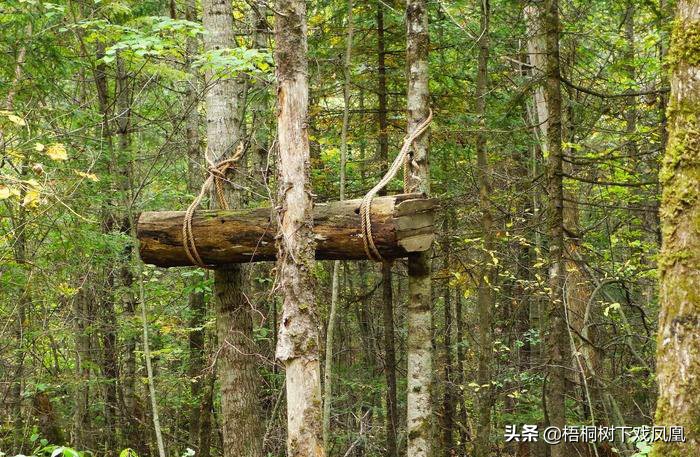 过去“五行葬法”中木葬忌入土，要把尸棺吊在树上，这是为什么？