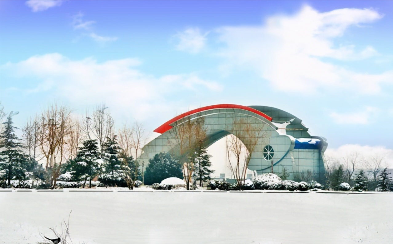 新乡学院，2020年在河南一本批次录取，特色专业和录取分数怎样？