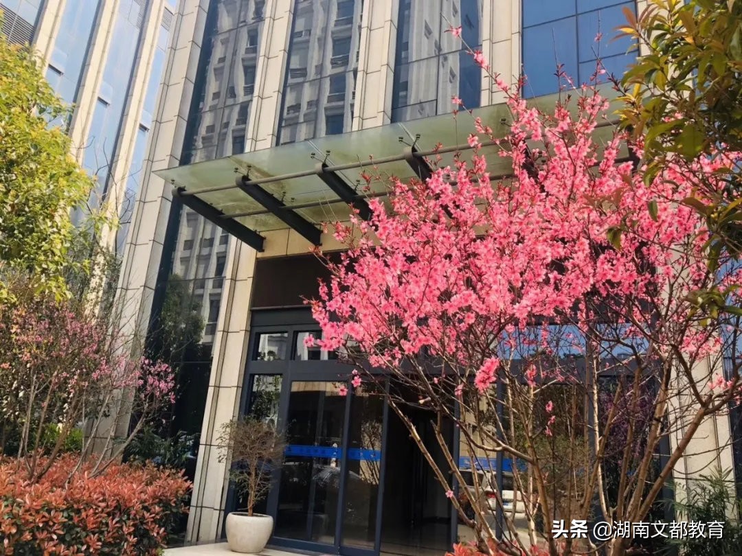 2021考研长沙寄宿制考研集训营【多图】