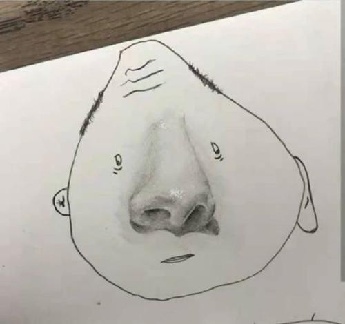 当美术生累了时，画风开始逐渐一发不可收拾，网友看后笑出鹅叫