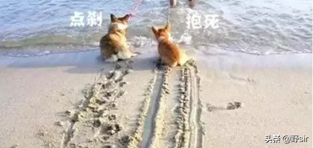 一文看懂众多的汽车辅助系统