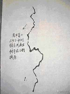 中国画写意花鸟画入门大全