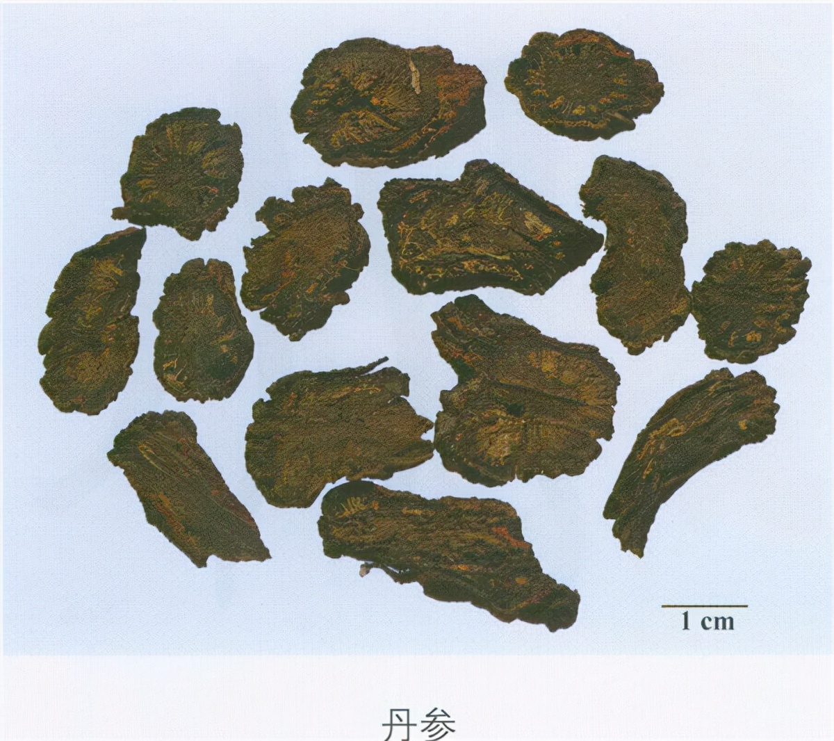 中药鉴定|37味中药新旧彩图对比