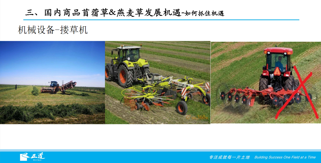 李鴻強(qiáng)：2021我國苜蓿草&燕麥草生產(chǎn)面臨的挑戰(zhàn)和機(jī)遇
