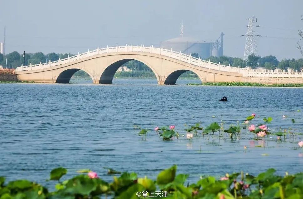 基建狂魔，天津