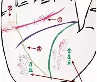 24种手诊图，堪比X光线，揭示你的身心健康