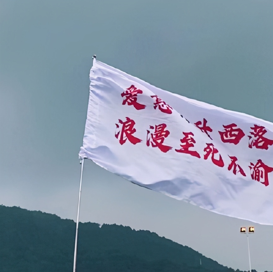 520文案合集｜“单身篇+表白篇+情侣篇+官宣篇”