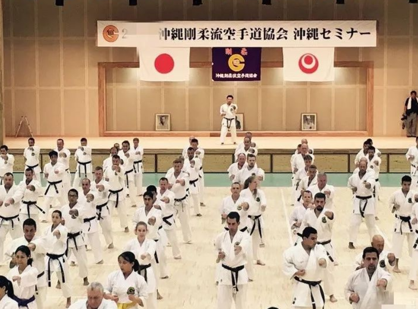 奥运会有空手道项目吗(报应！巴黎奥运会取消空手道项目，日本最怕的事情发生了)