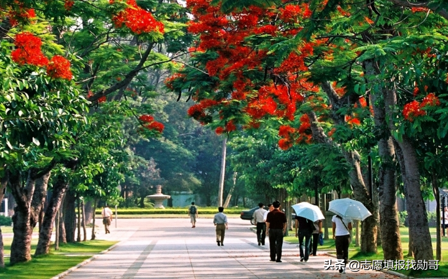 407分上厦门大学？收藏这张专业录取分数汇总表，低分可捡漏