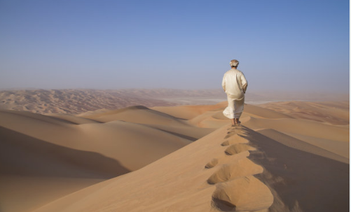 《牧羊少年奇幻之旅》|梦想得以实现的三个必须要素是什么？