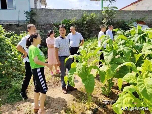 安康市汉滨小学党支部走进大沟河村开展脱贫攻坚结对帮扶工作