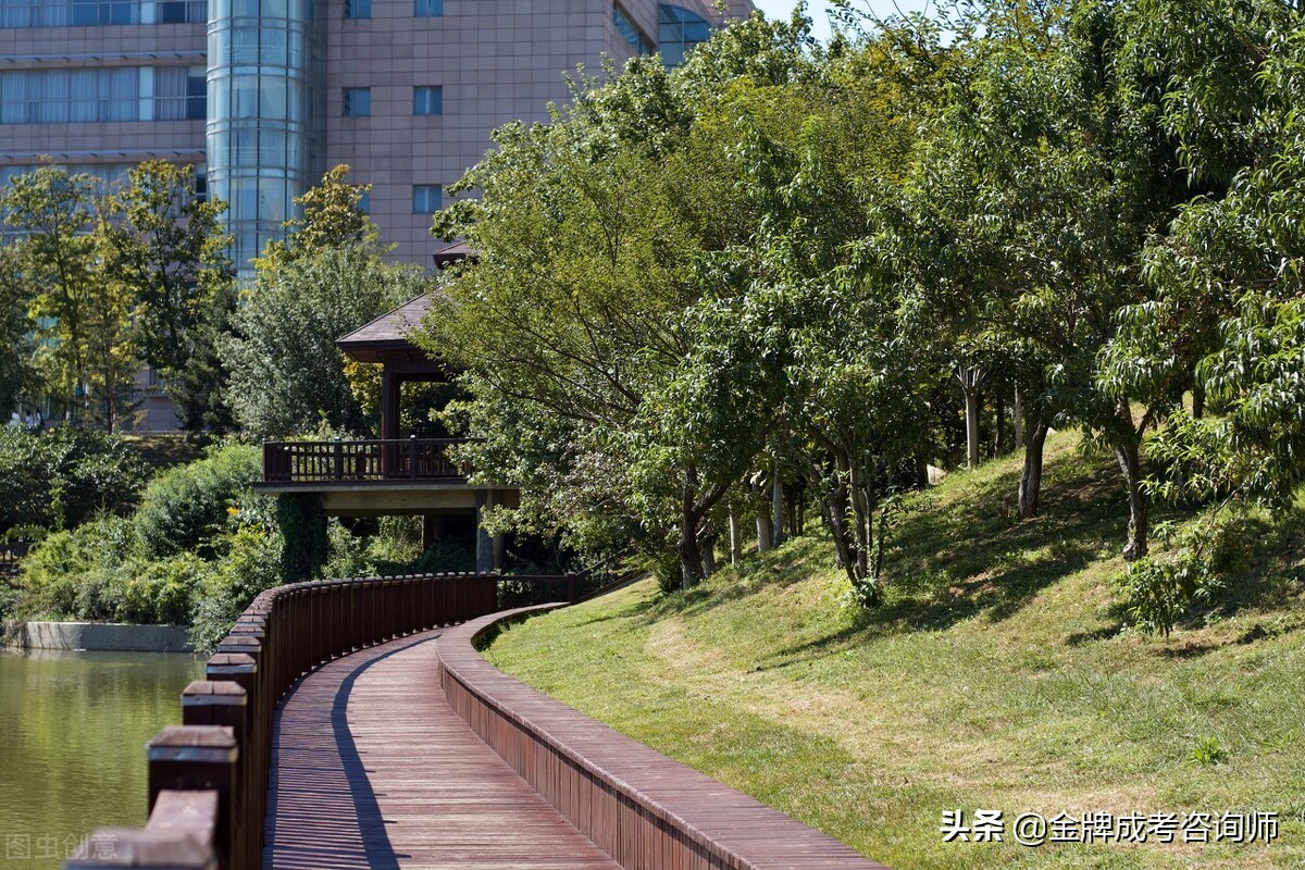 解读四所外国语大学，学生未来就业方向多元化，且就业质量高