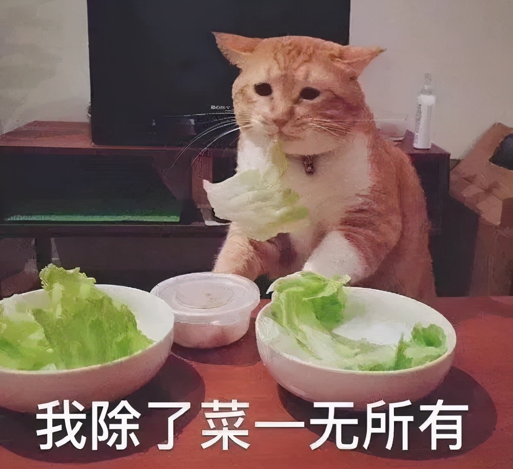 catia怎样画篮球(高考专业有多难选？我在化学实验室里读完了整部红楼梦)