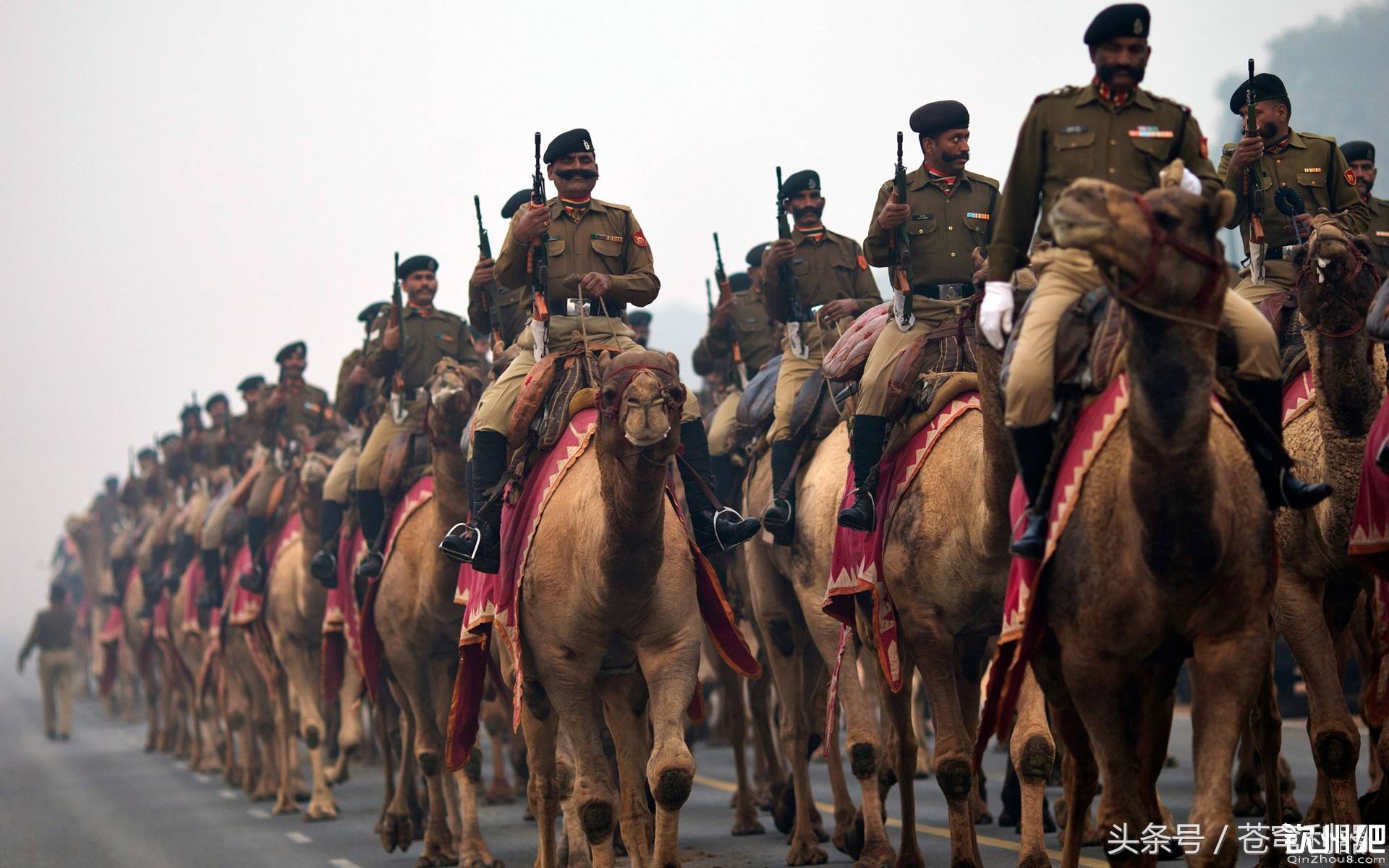 印度阅兵彩排150名士兵不幸感染，就这还想边境取胜？_哔哩哔哩_bilibili